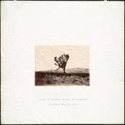 Jordan Wayne Lee Releases Instrumental Worship Album 'Live at Joshua Tree California'