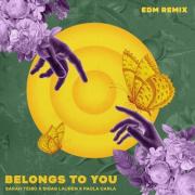 Sarah Teibo - Belongs to You (Edm Remix)