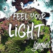 I Feel Your Light