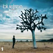 God Of This City - Bluetree Debut Album Re-Released