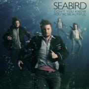 Seabird To Release Second Album 'Rocks Into Rivers'