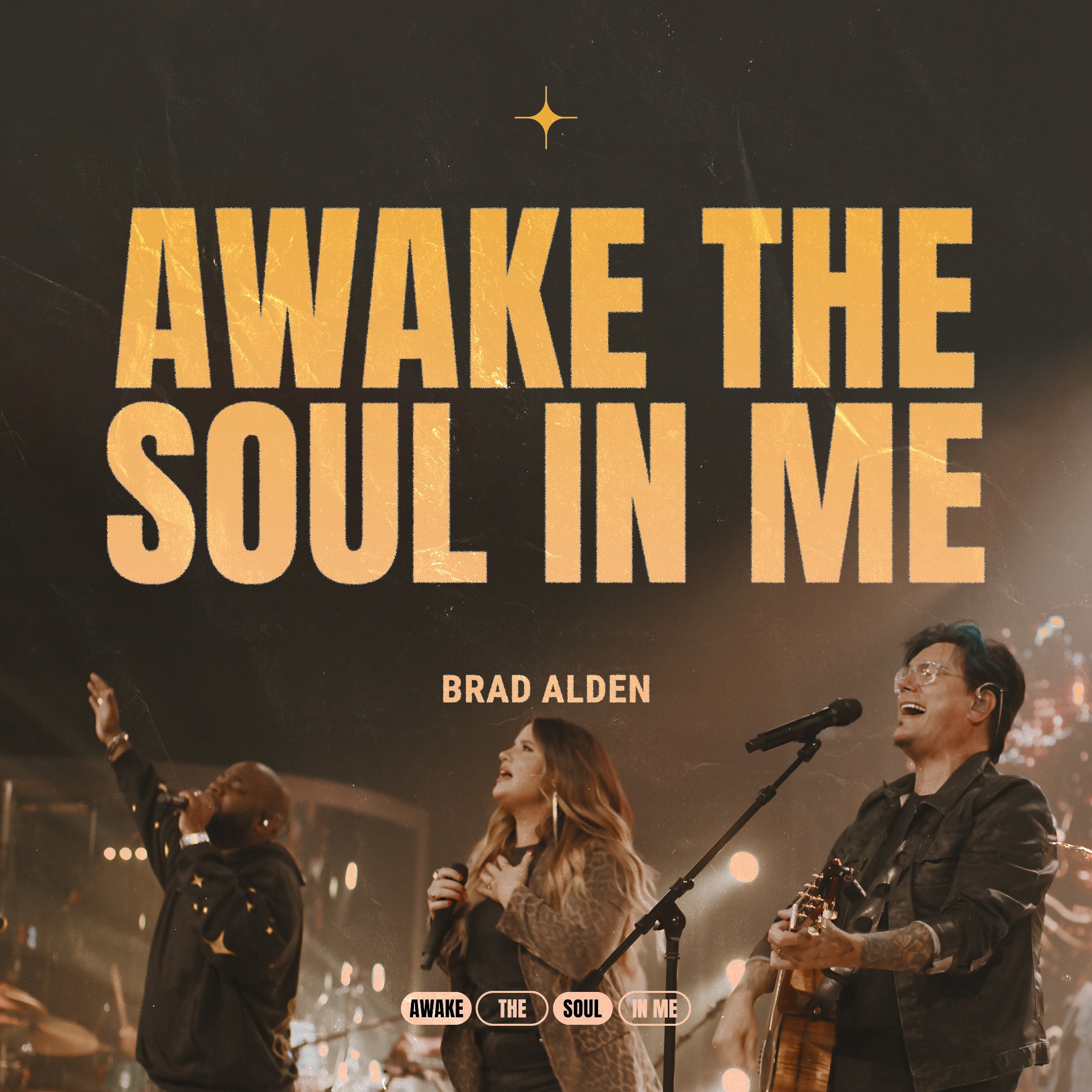 Brad Alden - Awake the Soul in Me