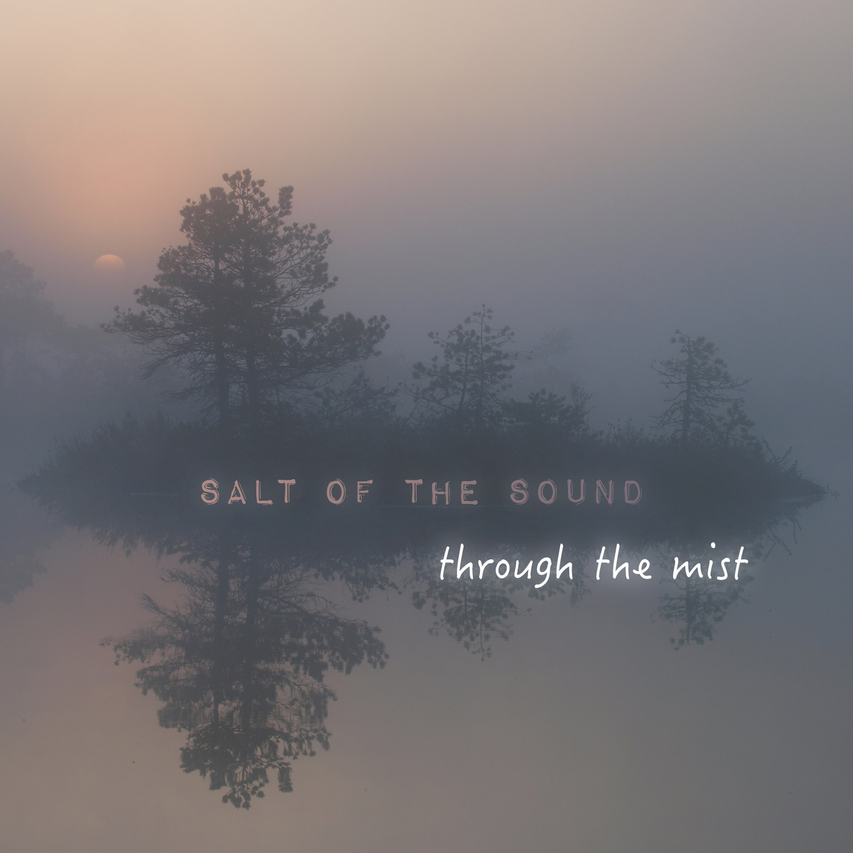 Salt Of The Sound - Through The Mist