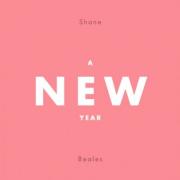 A New Year (Single)