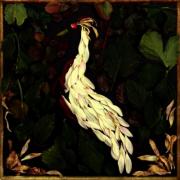Audrey Assad Releases Kickstarter Funded Album 'Fortunate Fall'