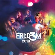 Fri:d3m Festival 2018 Compilation Album Released