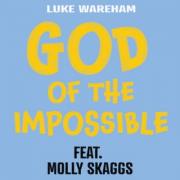 Luke Wareham - God of the Impossible