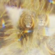 Thrive Worship Releases 'Jesus Song' Deluxe Single