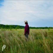 Psalms of David - He Loves You