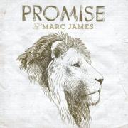 Promise