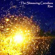 The Shimmering Carnelians Announces New EP 'Rise'