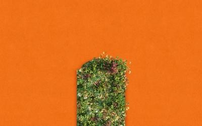 Capitol Christian Music Group Signs Rock City Worship, New Single 'Gravestone'