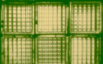 River Valley Worship Releases New Album 'First Light / Last Word'