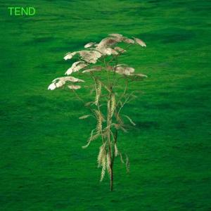 Tend