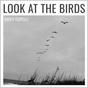 Look At The Birds