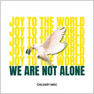 Joy to the World (We Are Not Alone)