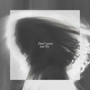 Don't Pass Me By