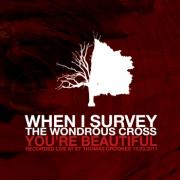 Nick Law  - When I Survey The Wondrous Cross