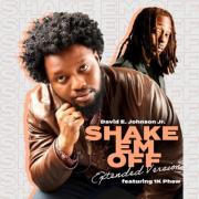 David E. Johnson Jr Releases 'Shake Em Off' Extended Version