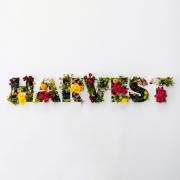 Rev Music Releases First Album 'Harvest'