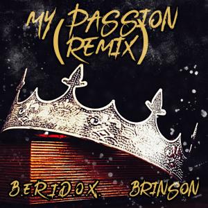 My Passion (Remix)