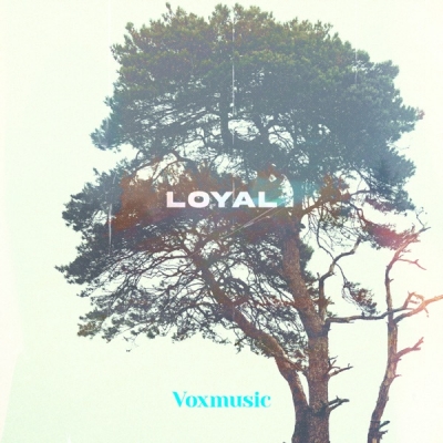 VoxMusic - Loyal