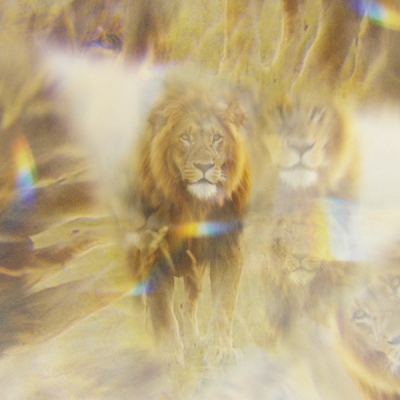 Thrive Worship - Jesus Song