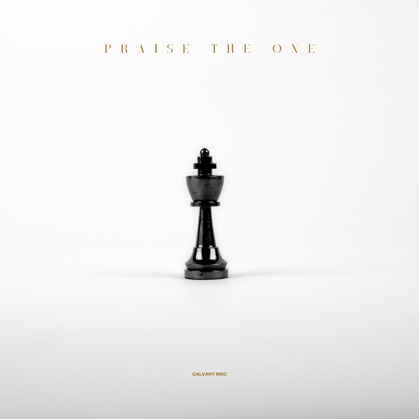 Calvary MSC - Praise the One
